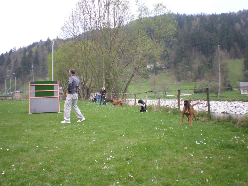 Delavnica 1 KLNB Železniki 25.4.2010 - foto povečava