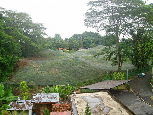 Pticji park poleg središča Kuala Lumpurja. Ostal je neobiskan  zaradi potencialno bolne pe