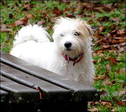 Buster in Aja - foto povečava