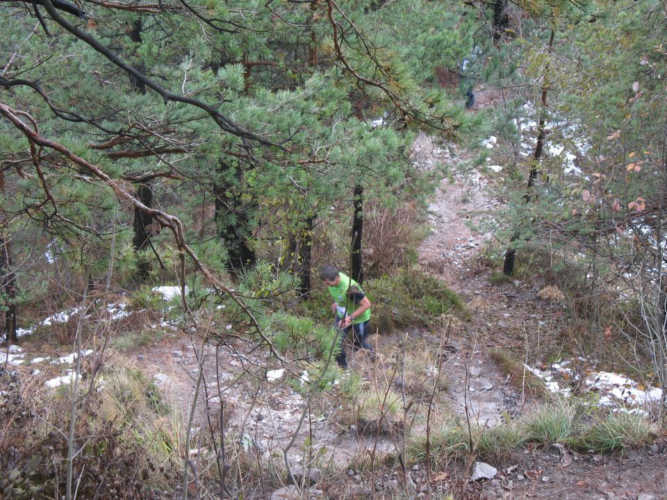 6. gorski tek na Polhograjsko Grmado 2009 - foto povečava