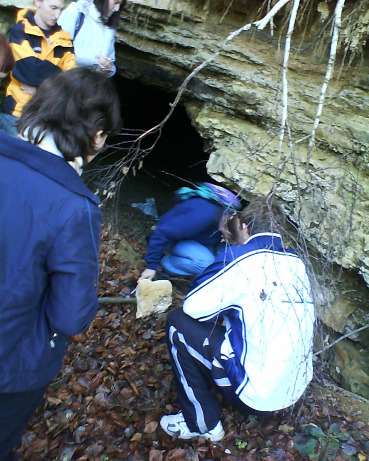 Slovenske Gorice, 20.11.08 - foto povečava