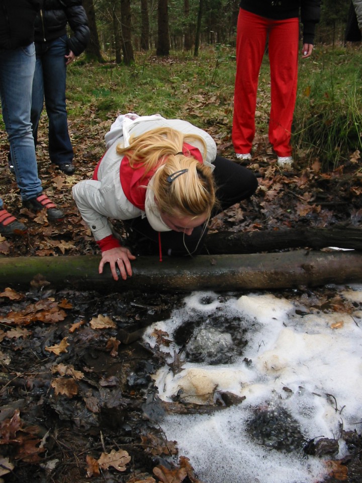 Slovenske Gorice, 20.11.08 - foto povečava