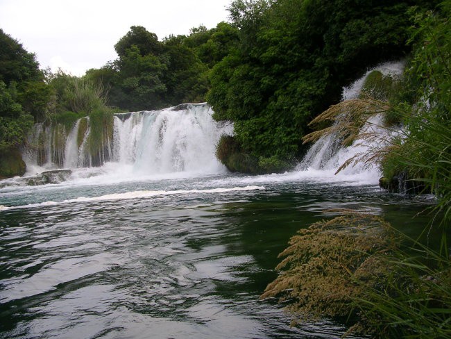 Trgatev takšna in drugačna - foto povečava