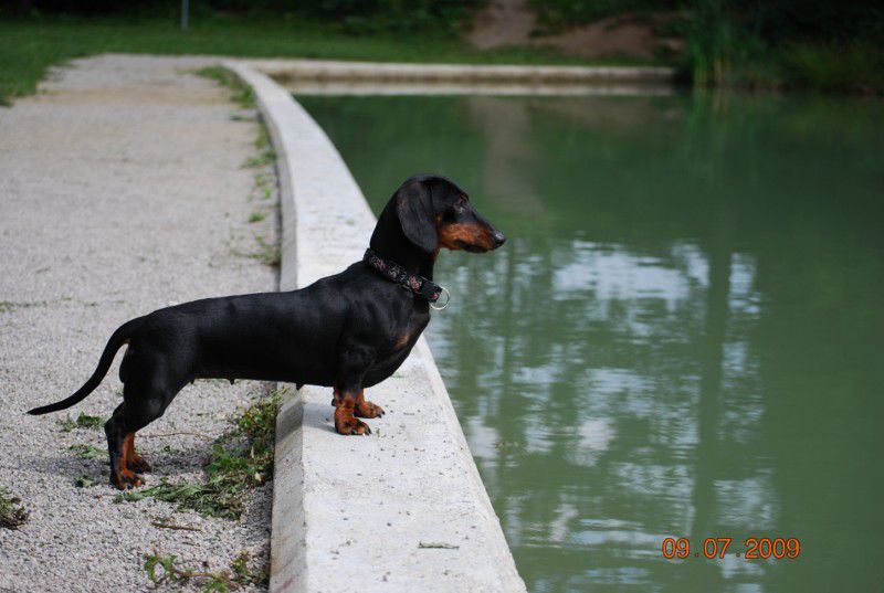 Ajdine dogodivščine - foto povečava