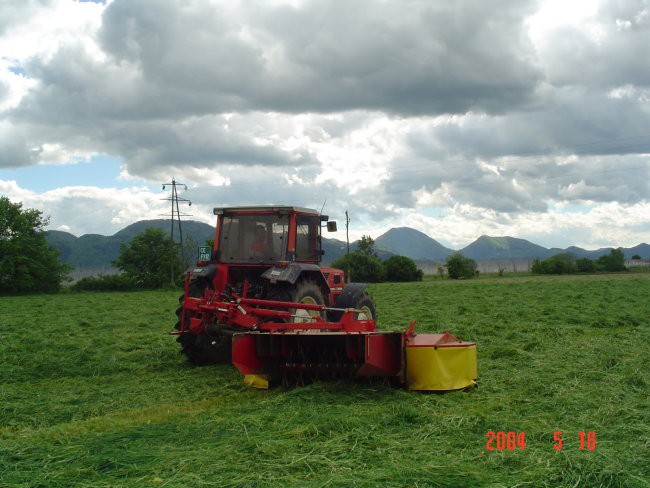 Bosko - foto povečava