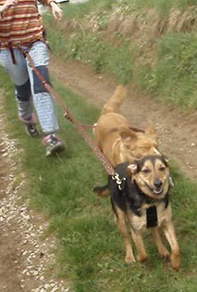 Konec: Drobižek in Gea