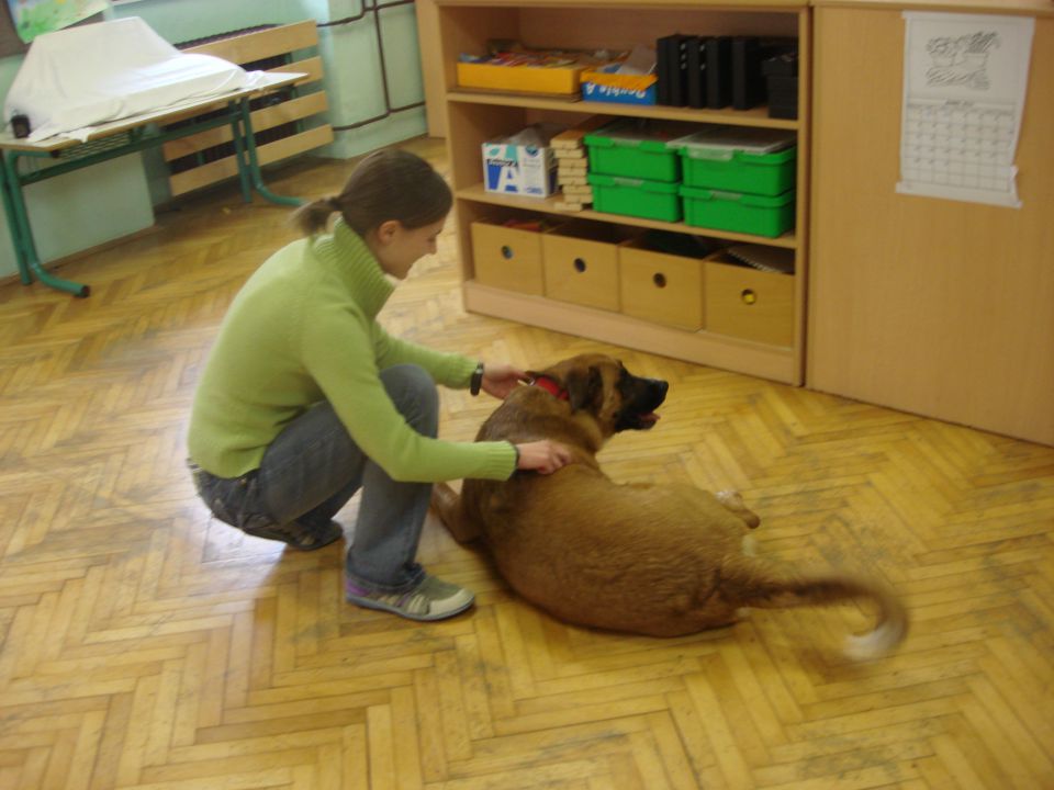 2. predavanje DZZŽ Trebnje o skrbi za hišne ljubljenčke na PŠ Šentlovrenc 22. 4. 2010