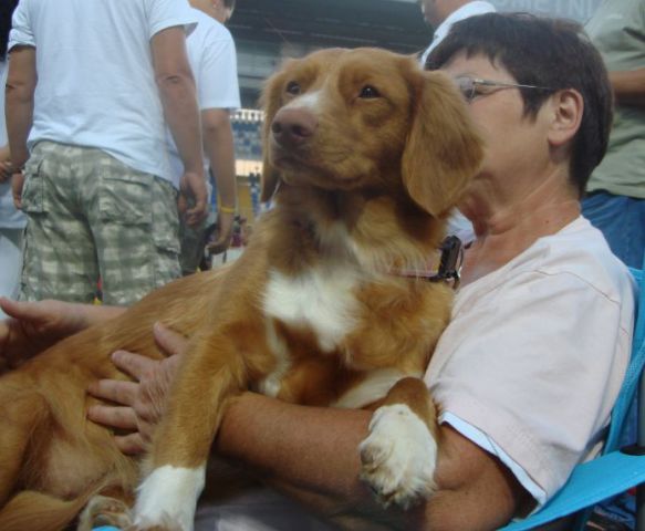 Gea - razstava psov Split 2010