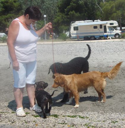 V kampu Stobrec - Gea, Heidi ter novi prijatelji (2 cane corso in bulcek)