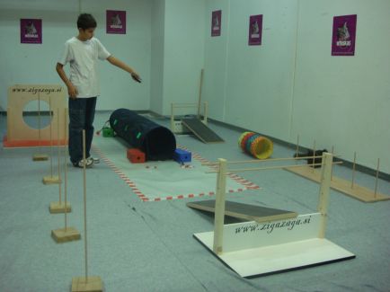 Prvic macji agility v Sloveniji (na razstavi)