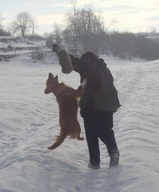 Moji in 'moji' psi 3 - foto povečava