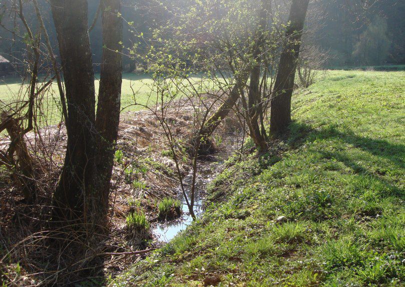 WT Trebnje teren - foto povečava