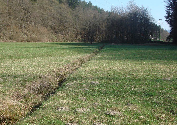 WT Trebnje teren - foto povečava