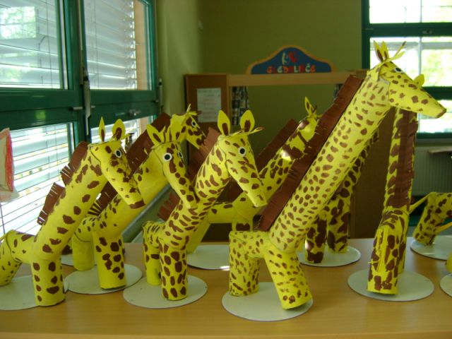 Žirafe - foto