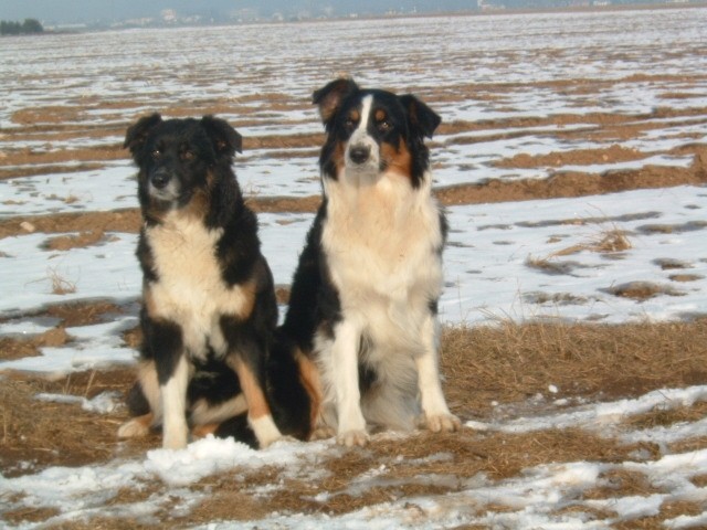 Urko, Bejba (desno)