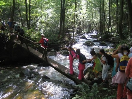 Bistriški vindgar (2005/2006) - foto povečava