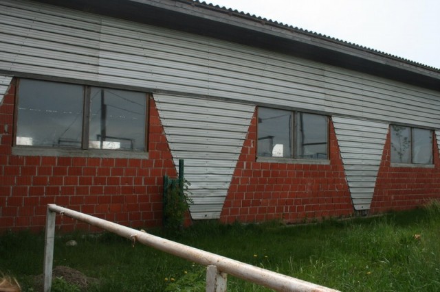 Konji - naravoslovni dan (maj 09) - foto