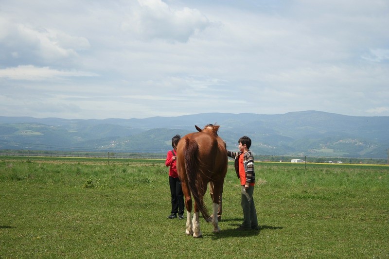 Konji - naravoslovni dan (maj 09) - foto povečava