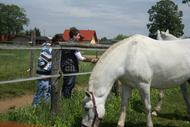 Konji - naravoslovni dan (maj 09) - foto