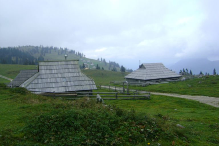 IZLET NA VELIKO PLANINO (okrober 2009) - foto povečava