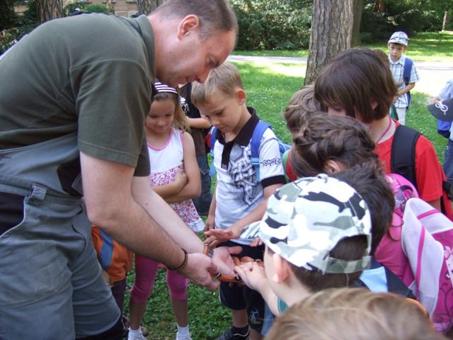 Zaključni izlet 1.r. juinij 2010 - foto povečava