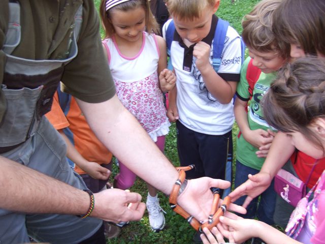 Zaključni izlet 1.r. juinij 2010 - foto