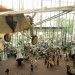 Air and space museum