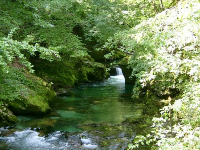 Narava - prelepa Gorenjska - foto