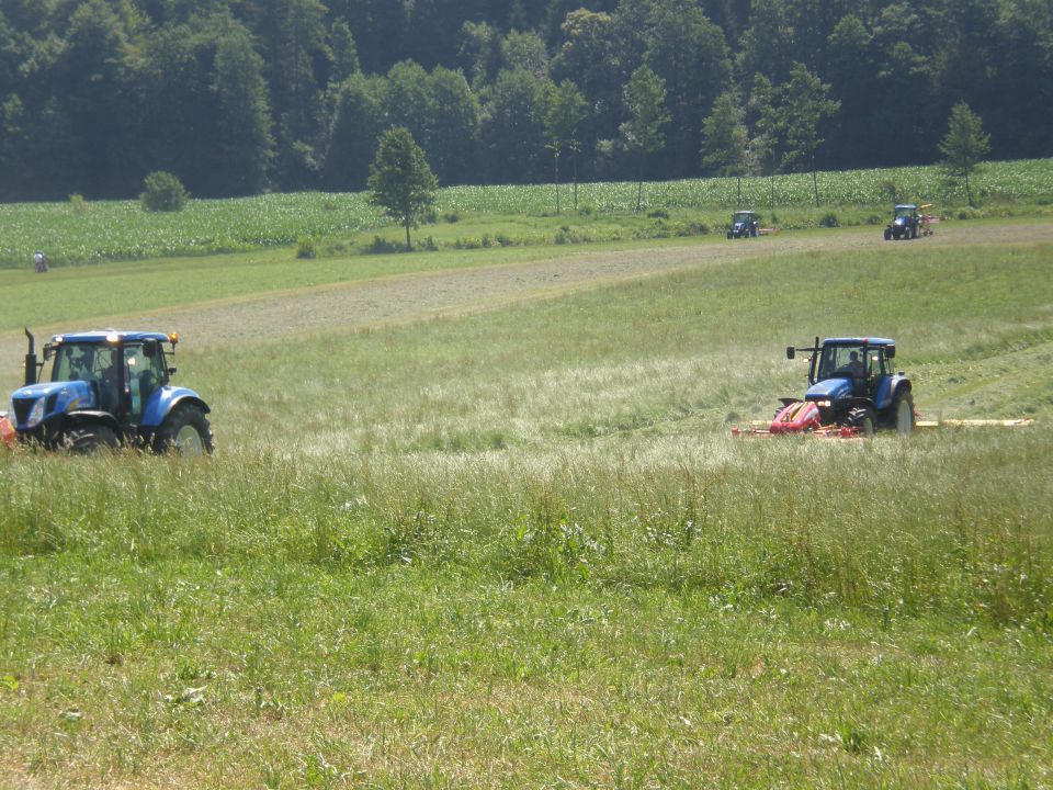 Demo Traktor forum - foto povečava