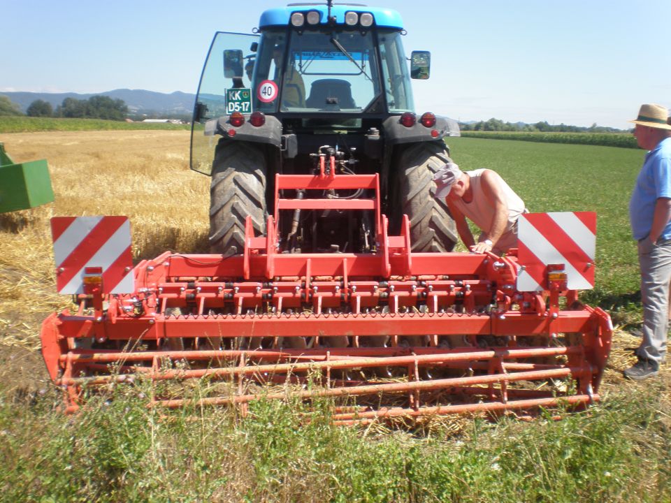 Demo Maschio - foto povečava