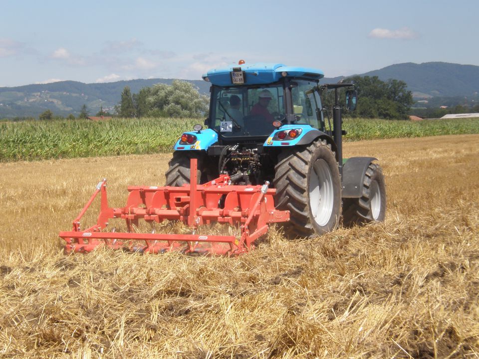 Demo Maschio - foto povečava