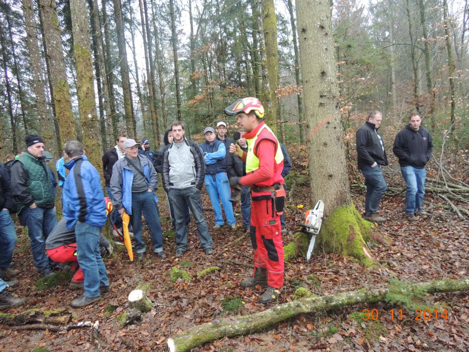 Gozdarska predstavitev TPGozd - foto povečava
