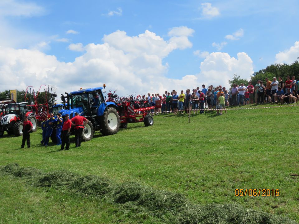 Sip in New Holland Mirna peč - foto povečava