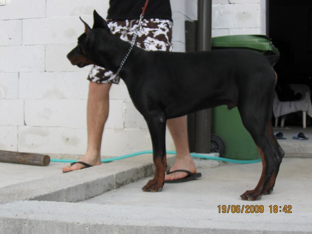 Baal - foto