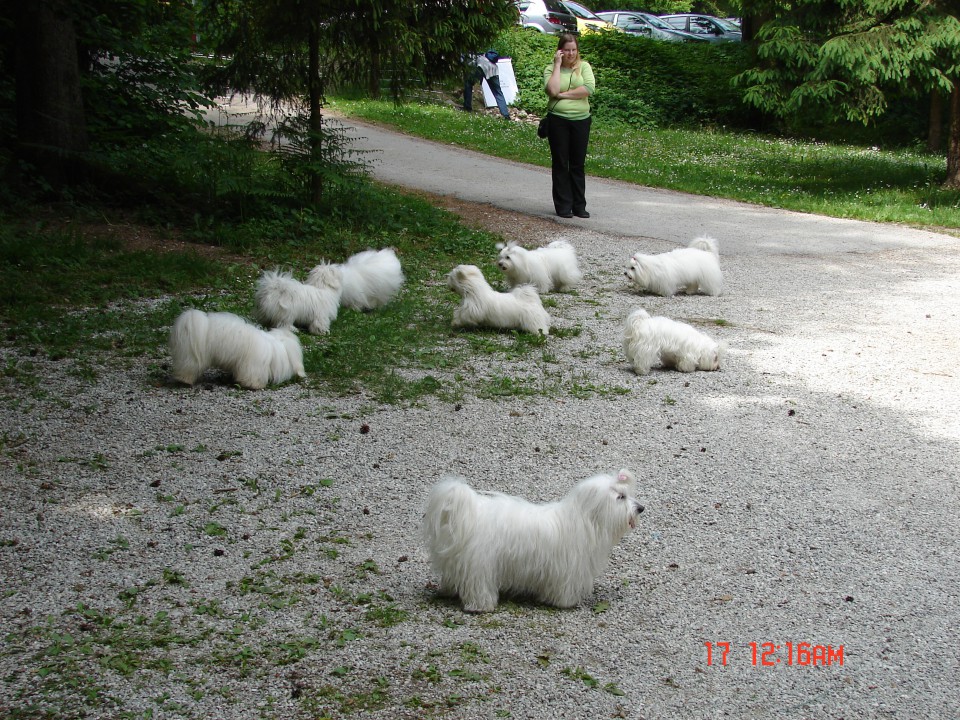 Nalani Coty - foto povečava