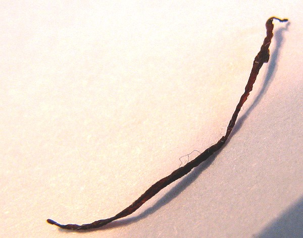 Ttt - foto povečava