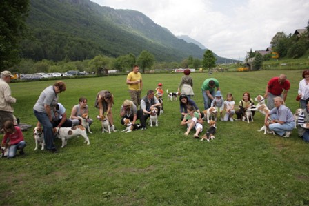 Beagle piknik, Hrušica, 16.5.09 - foto