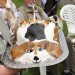 torta / The Beagle cake