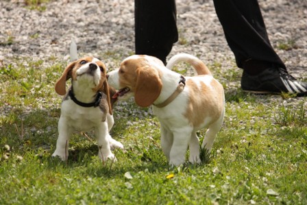 little ones