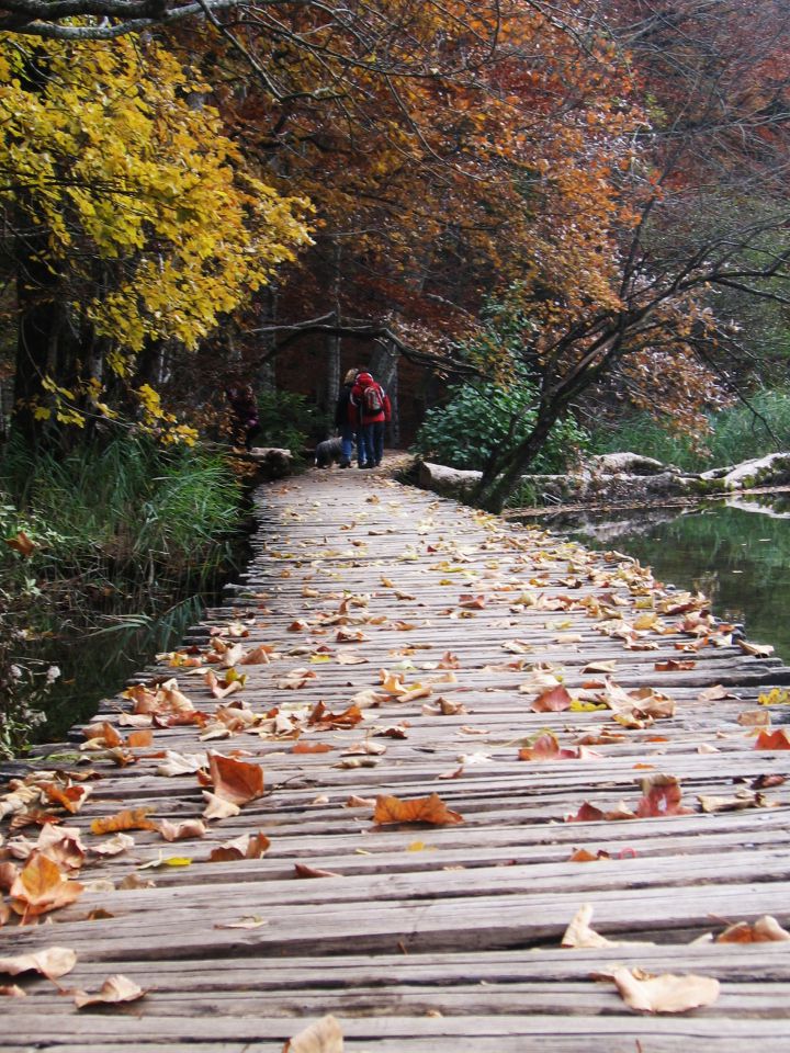 Jesen 2009 v Plitvicah - foto povečava