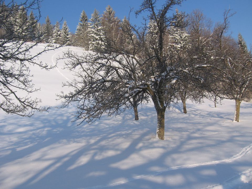 ZIMA 2009 - foto povečava