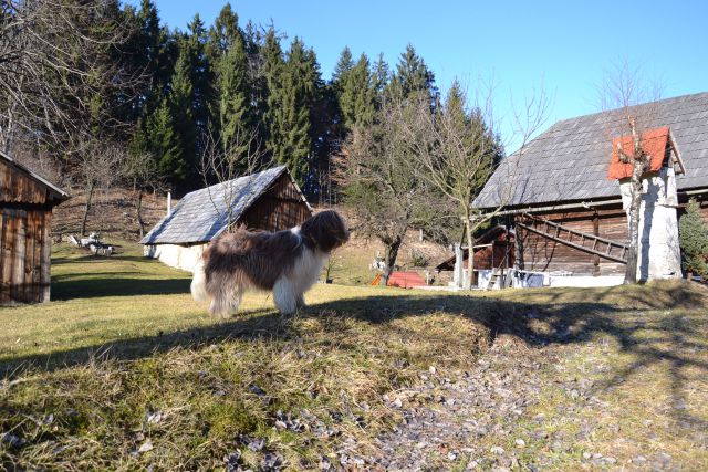 Naša potepanja jan.2011 - foto