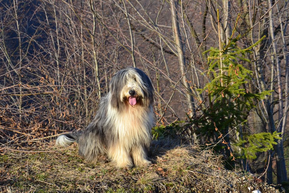 Naša potepanja jan.2011 - foto povečava