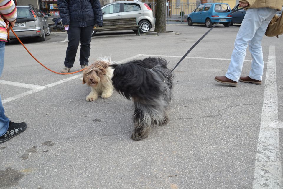 Naša potepanja jan.2011 - foto povečava