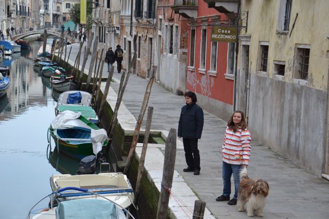 CACIB Padova in Benetke - foto