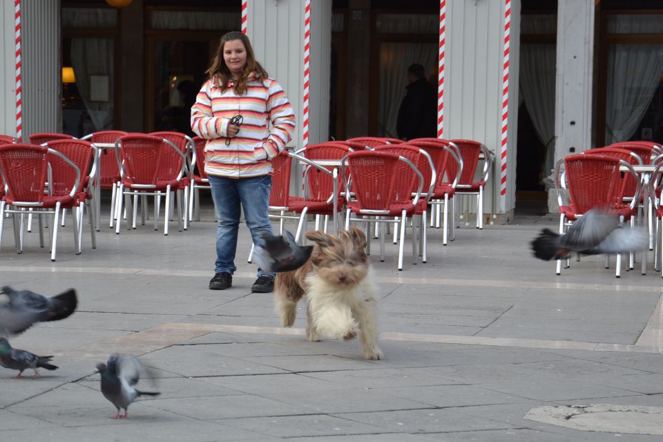 CACIB Padova in Benetke - foto povečava