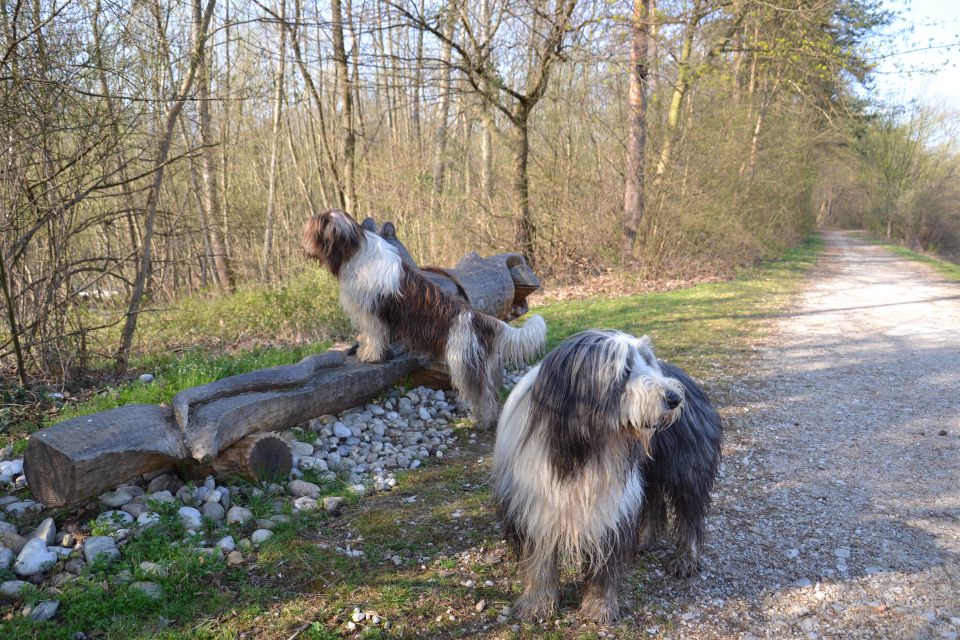 Prišla je pomlad 2011 - foto povečava