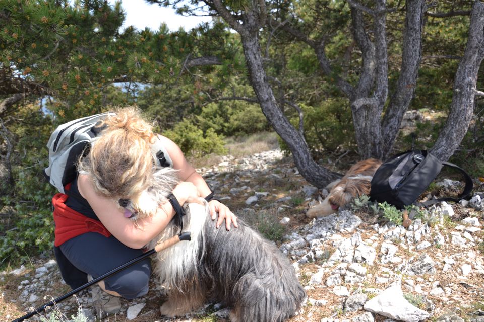 1 MAJ Mali Lošinj - foto povečava