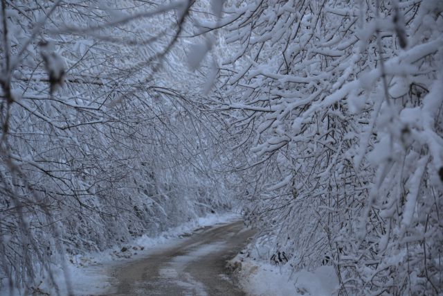 Čudovita zima 2011 - foto