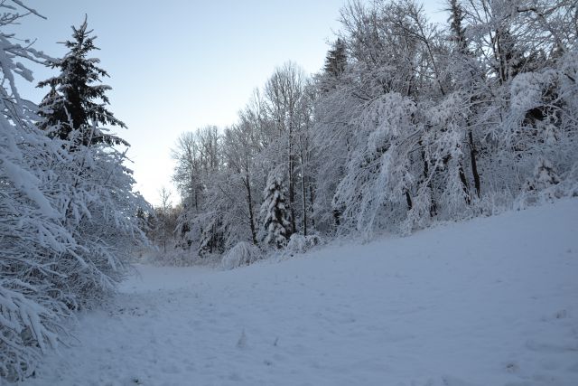 Čudovita zima 2011 - foto